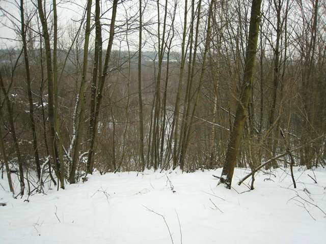 03.JPG