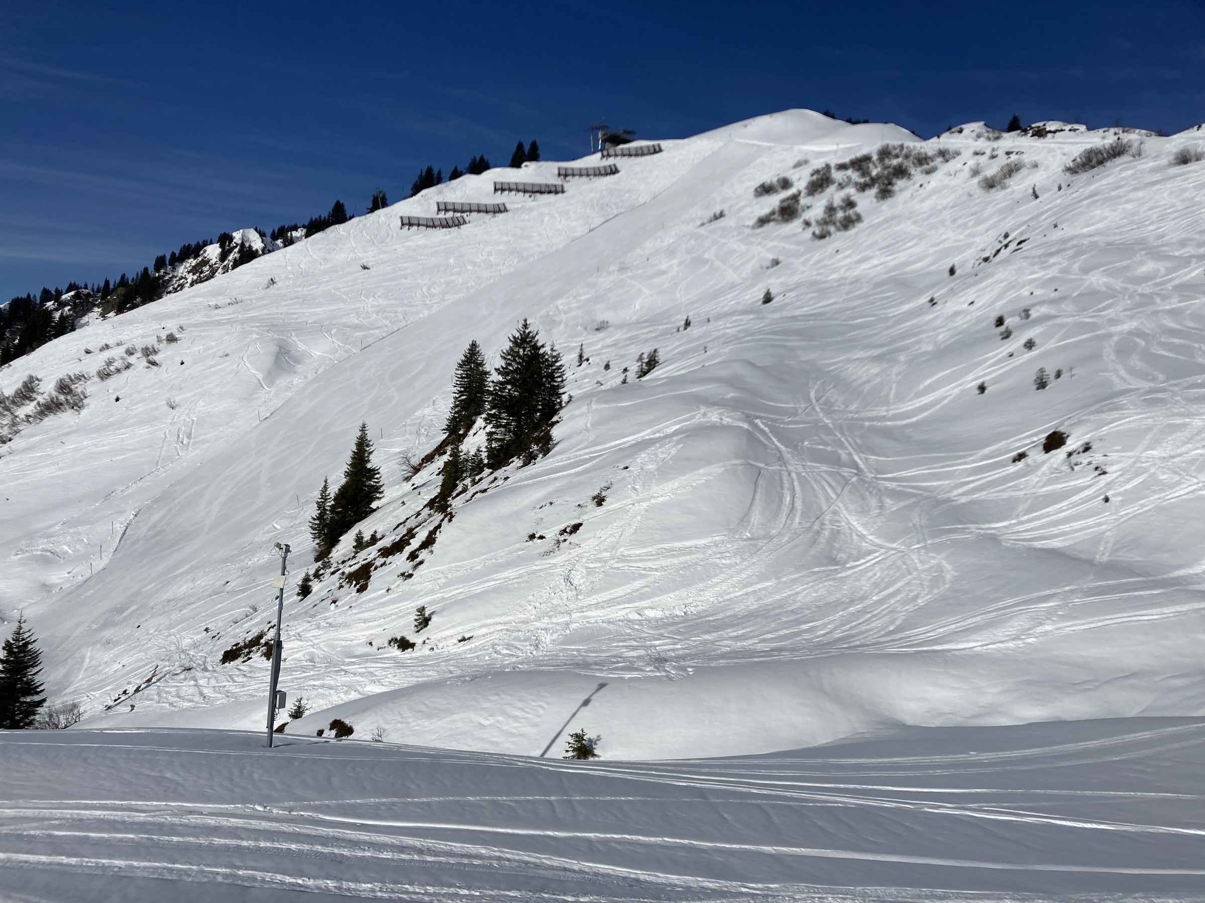 035F2187-0272-42C2-905D-10D9E3D8D73A.jpeg