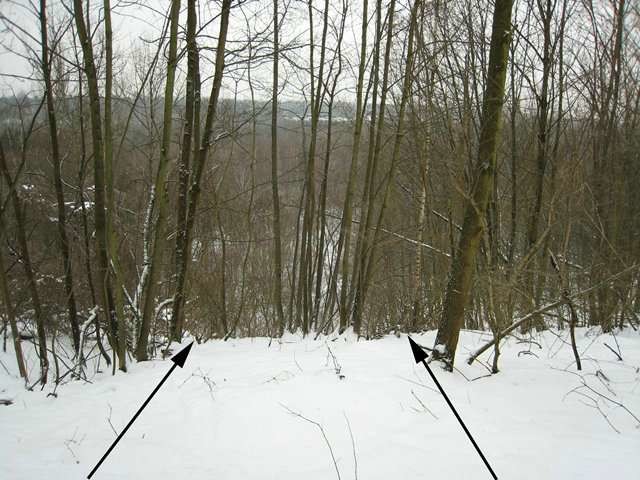 04.jpg