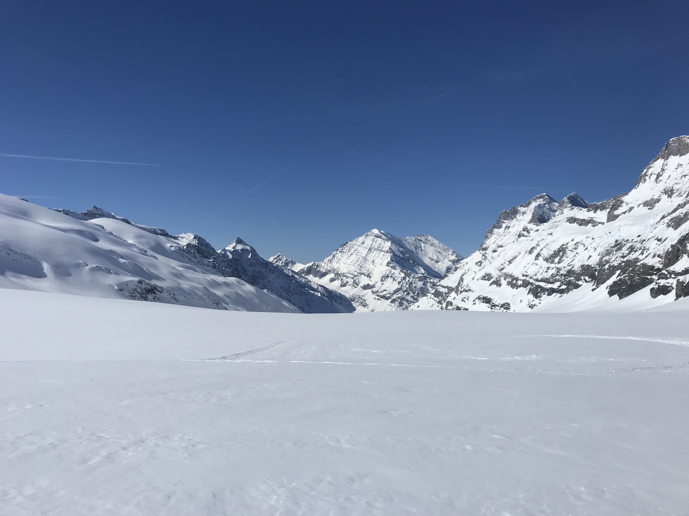 04D4C79A-02CA-4326-B43F-485F31385BF3.jpeg