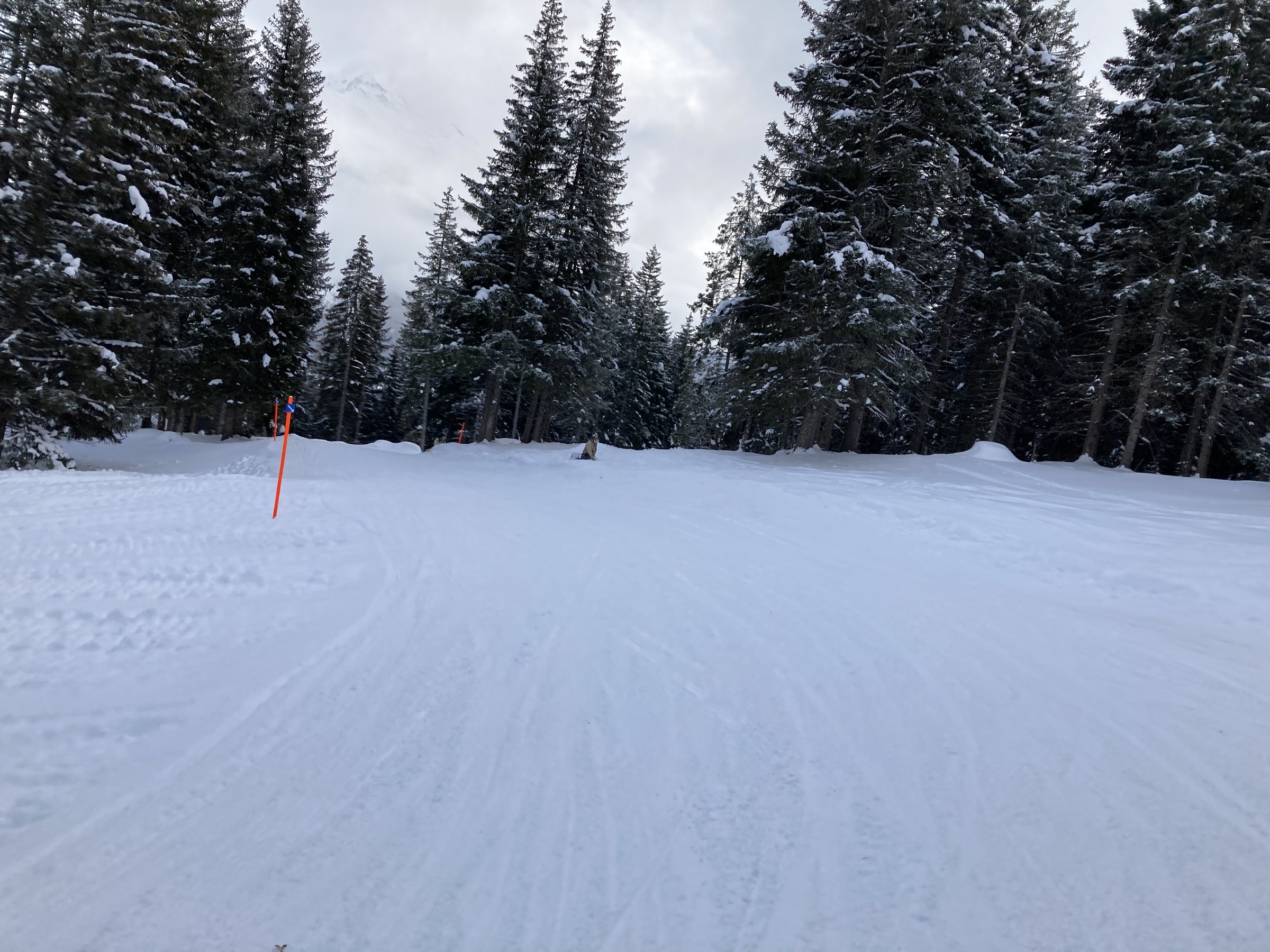 05105875-1DAE-40C8-AD9F-934C56B84D59.jpeg