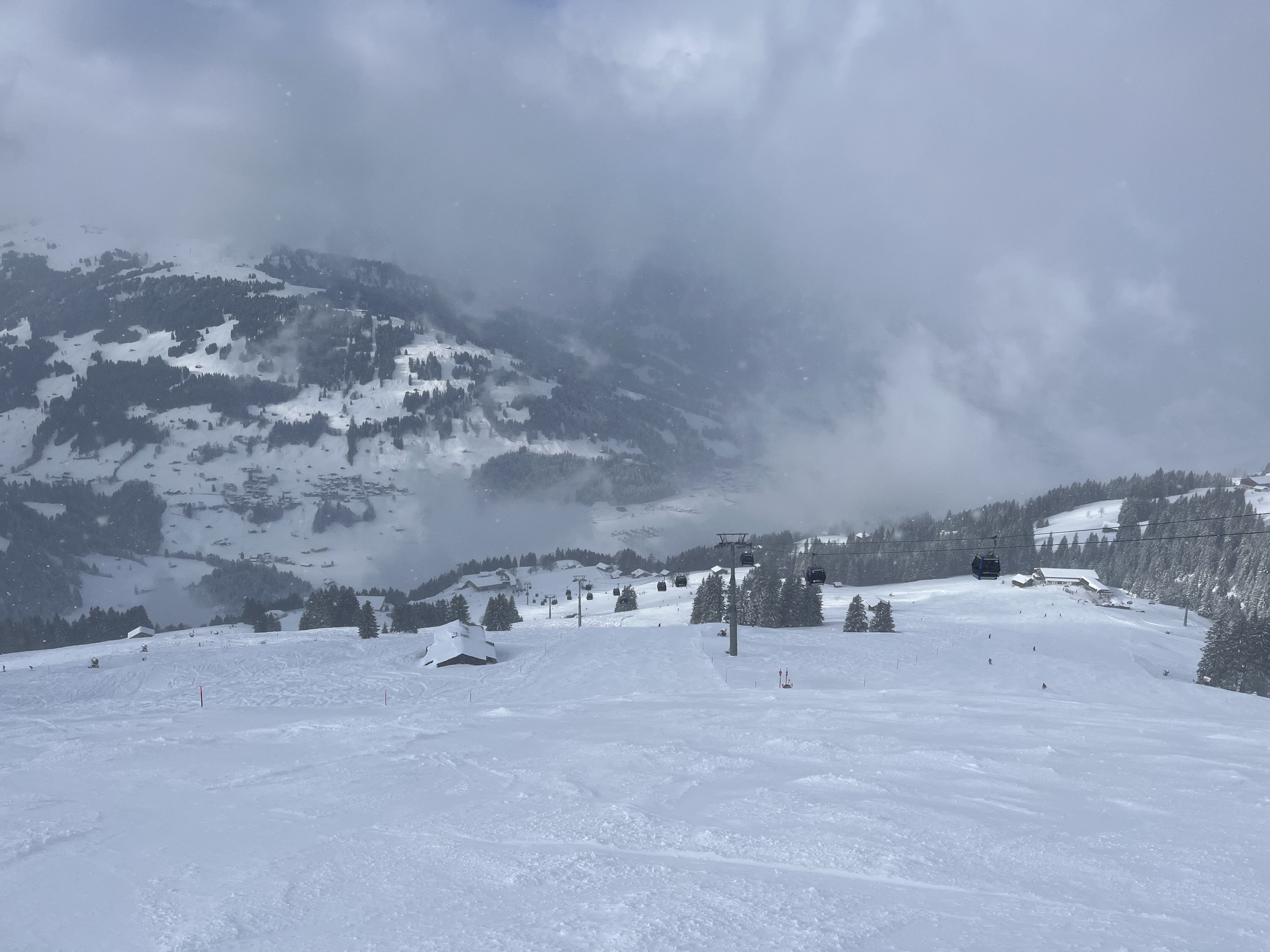 05145A9B-7FFA-47F9-AC6A-C91C18262C29.jpeg