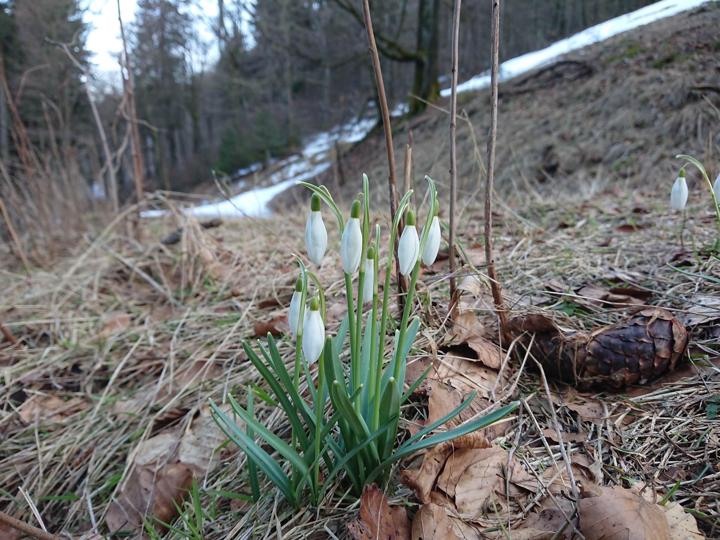 05_April.JPG