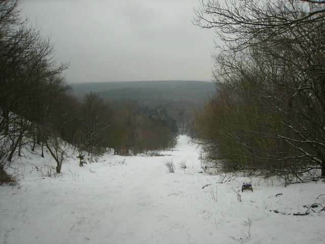 06.JPG