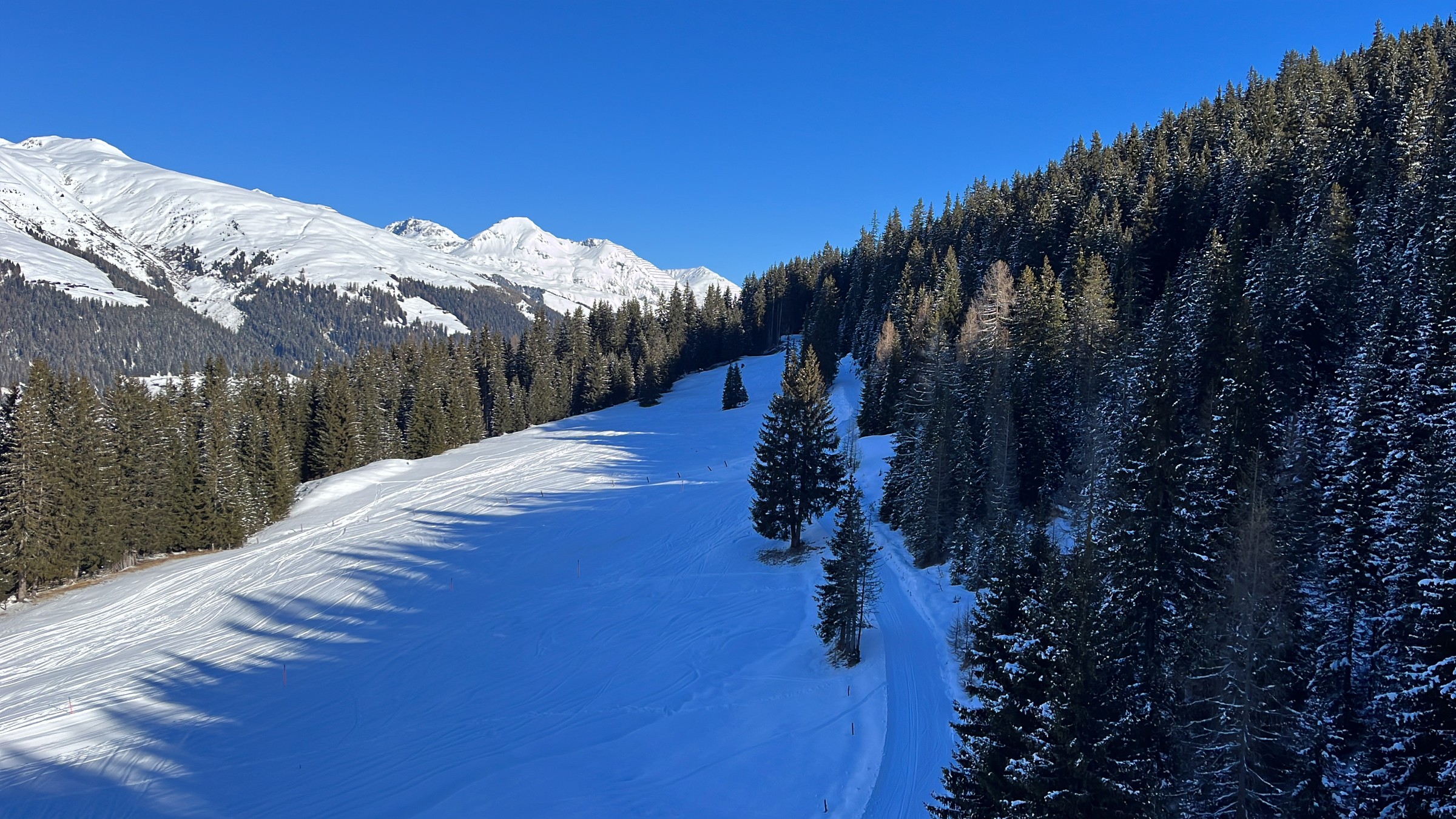 07D256DF-9650-424C-8B2A-BA2096C6B2C3.jpeg