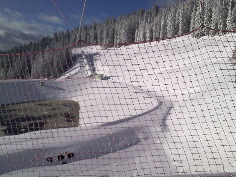 08122011054_800.jpg