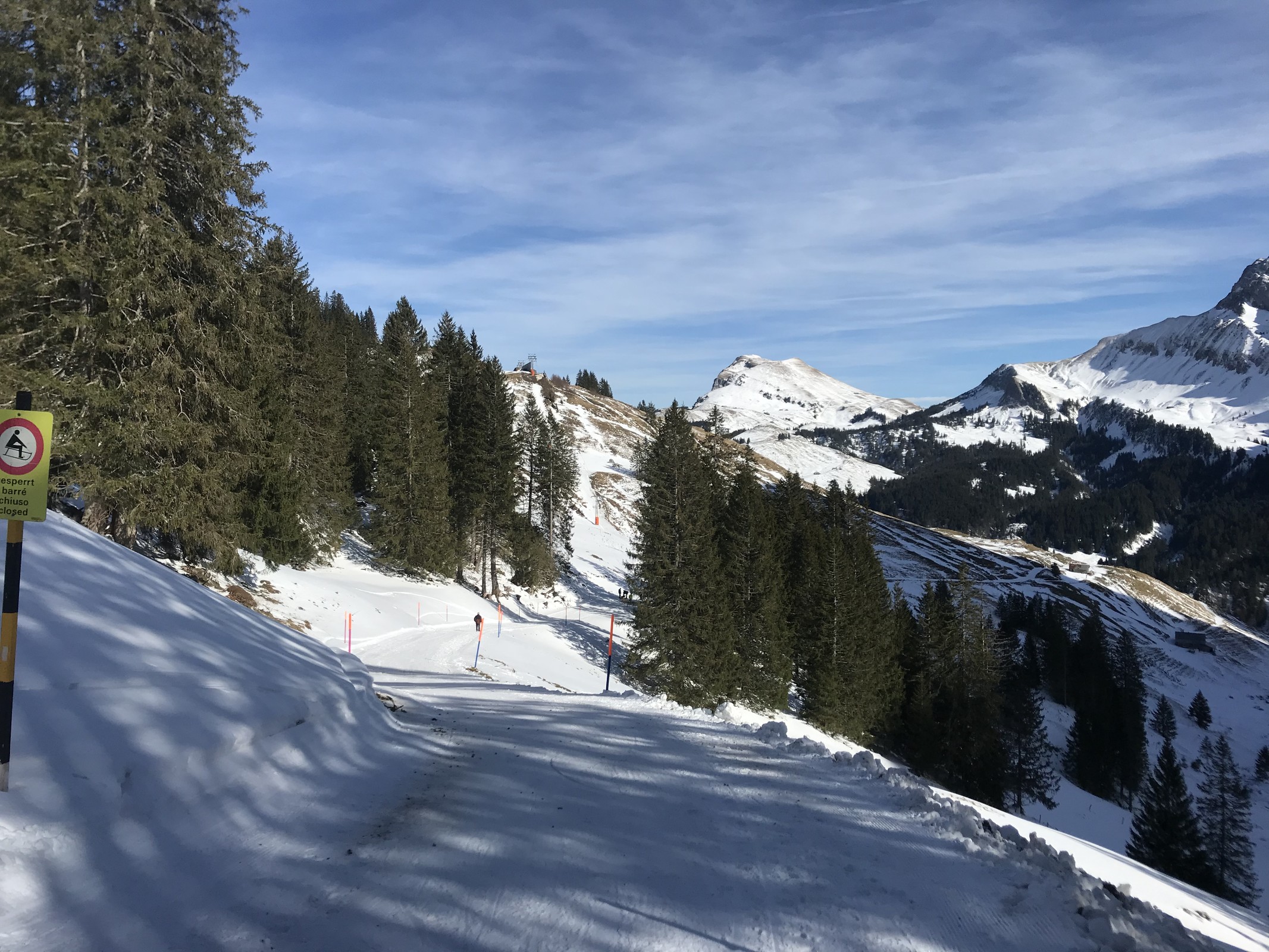 09267506-C1BF-498A-9D41-1A918306F9B0.jpeg