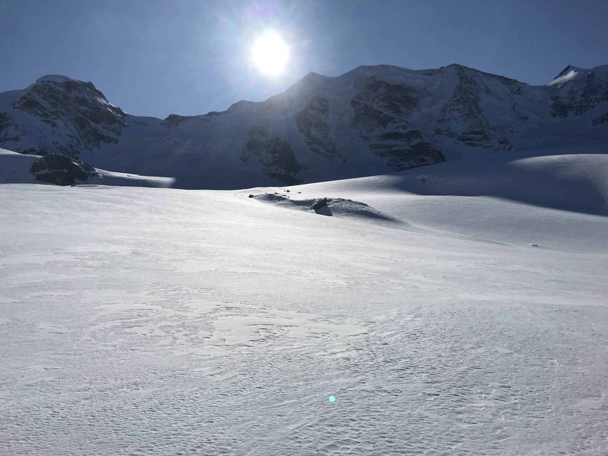 0BA7F58F-6F6F-4962-A1E7-3B6DF6B217D2.jpeg