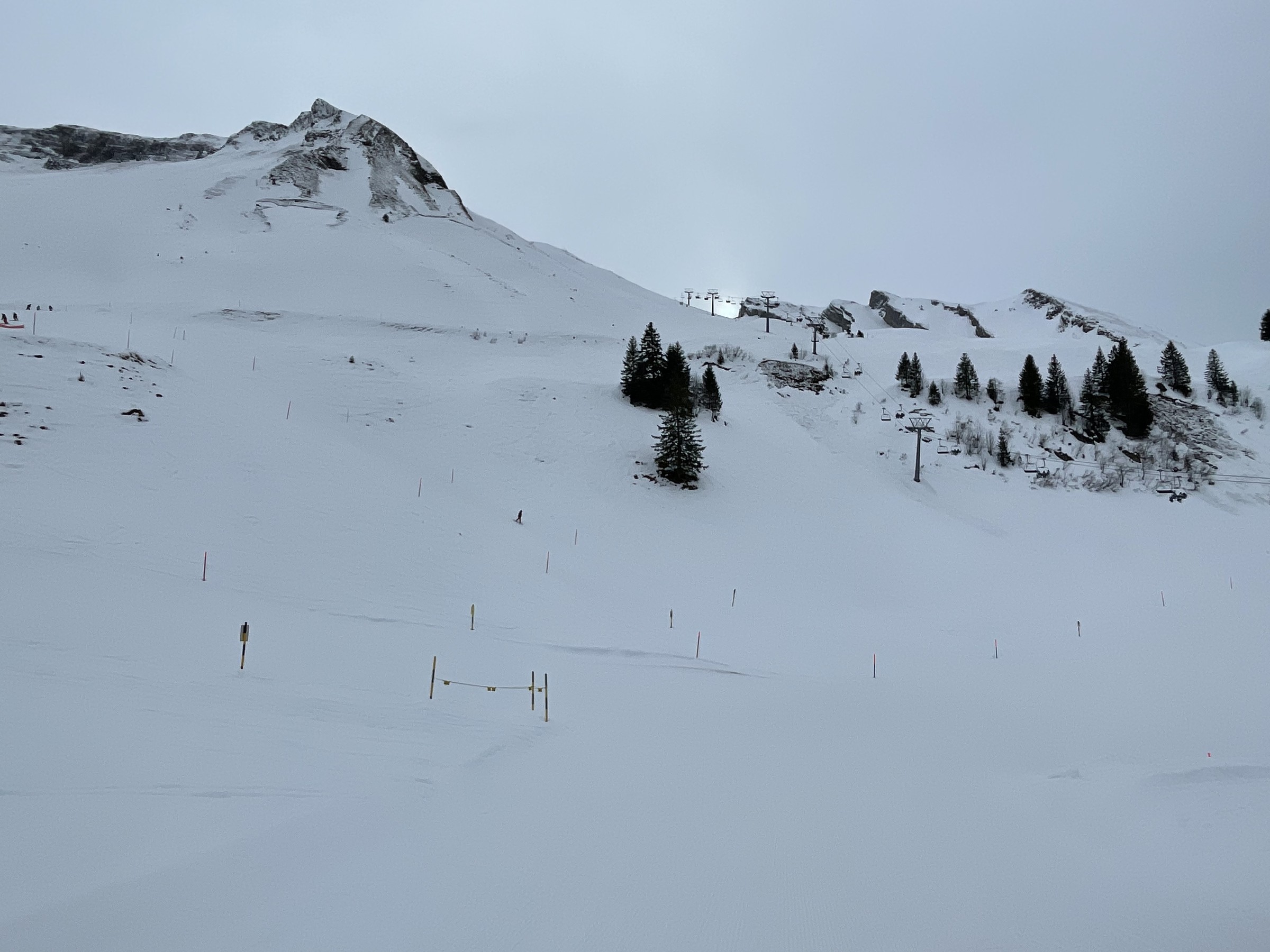 0D51696C-94D2-48AD-BDD8-5EC8066AB3F7.jpeg