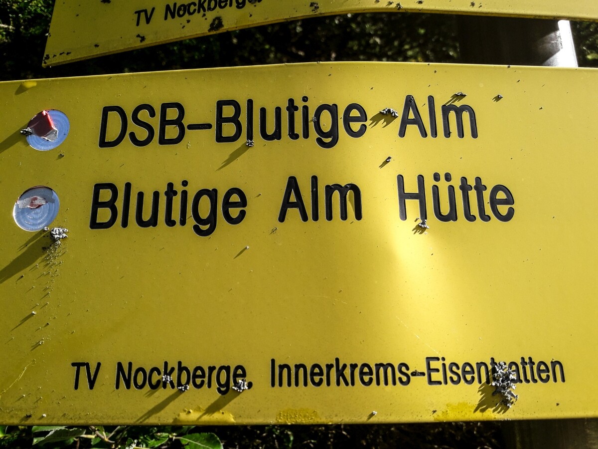 1.JPG
