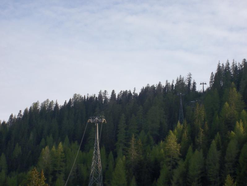 100_0805.JPG