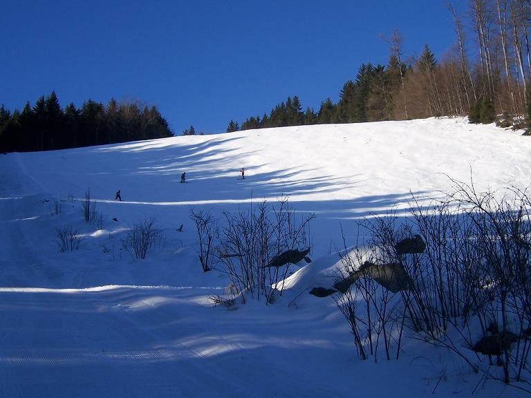 100_8412.jpg