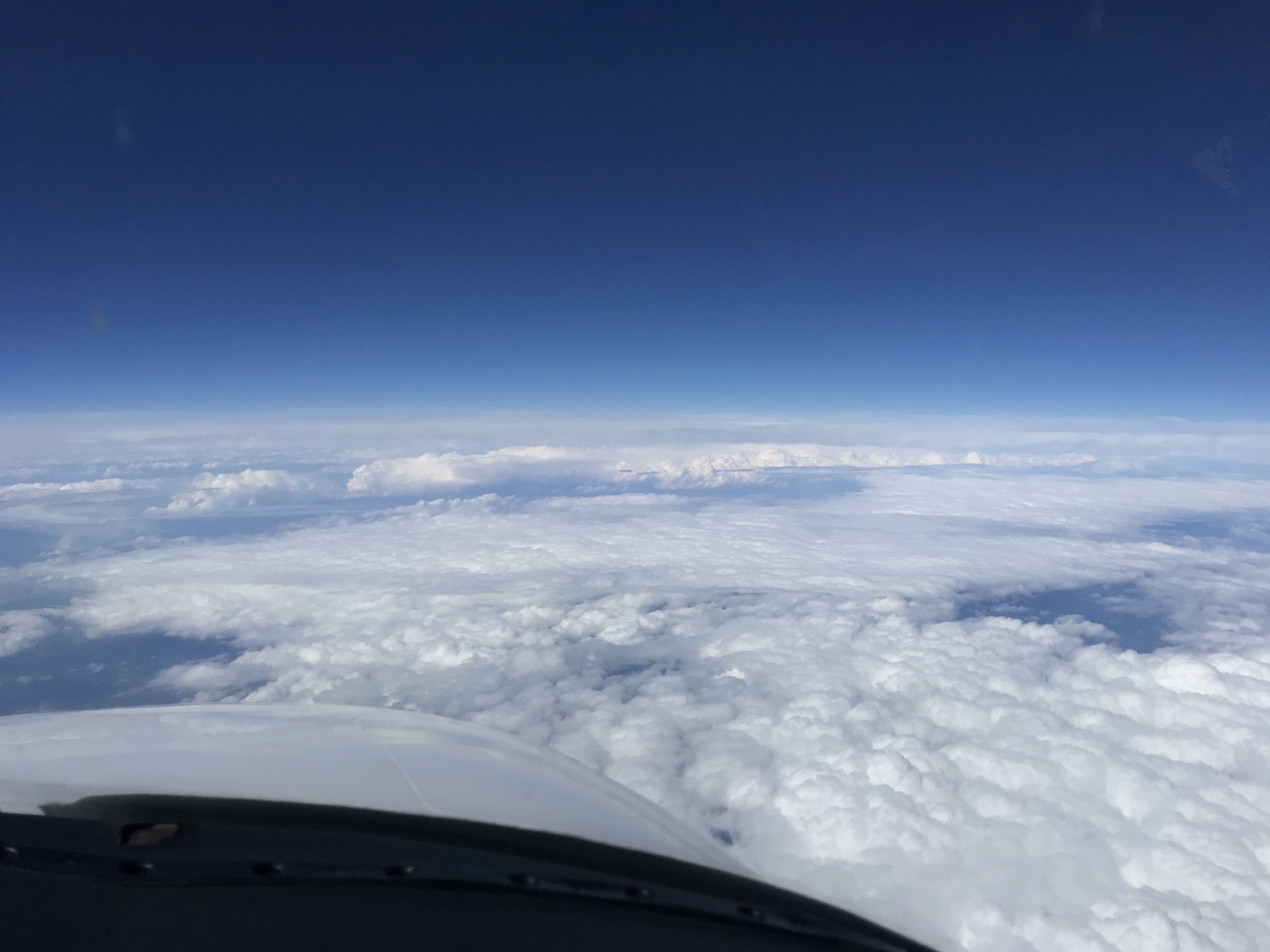 107317F4-EE81-47FC-8AF3-6A7C3FE2F0B5.jpeg