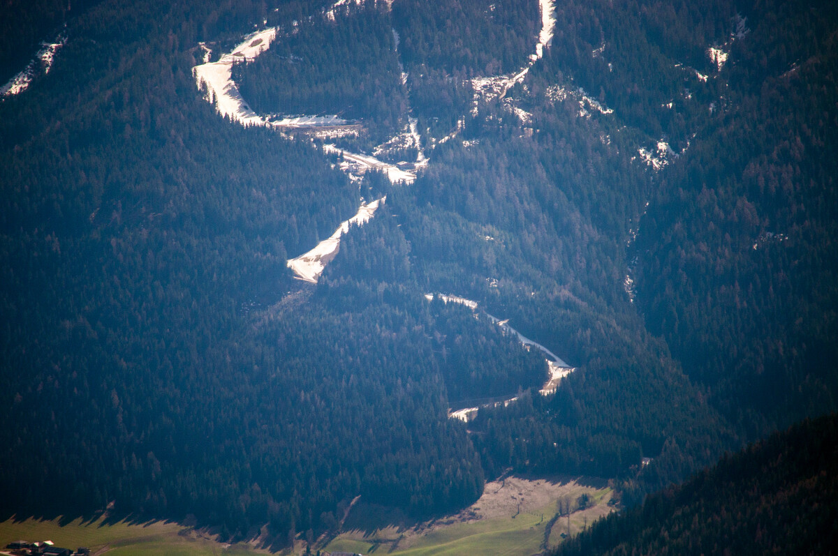 133.JPG