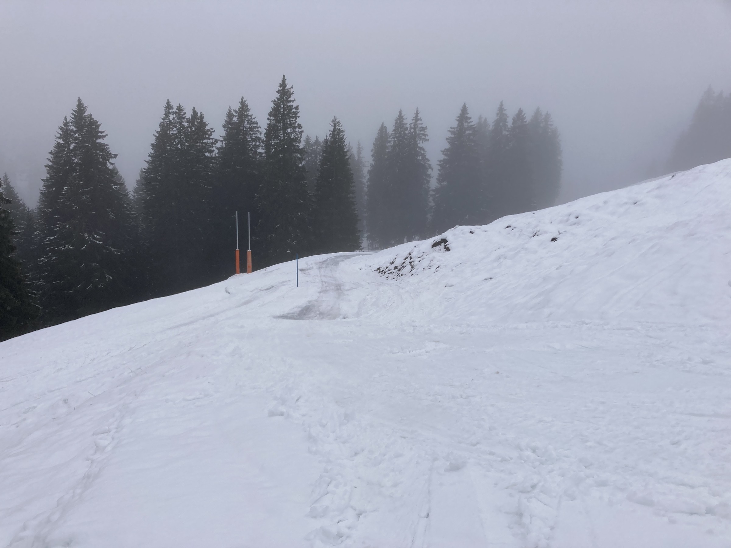 141A3C5E-DECC-4CEC-BC03-8942EE6A9828.jpeg