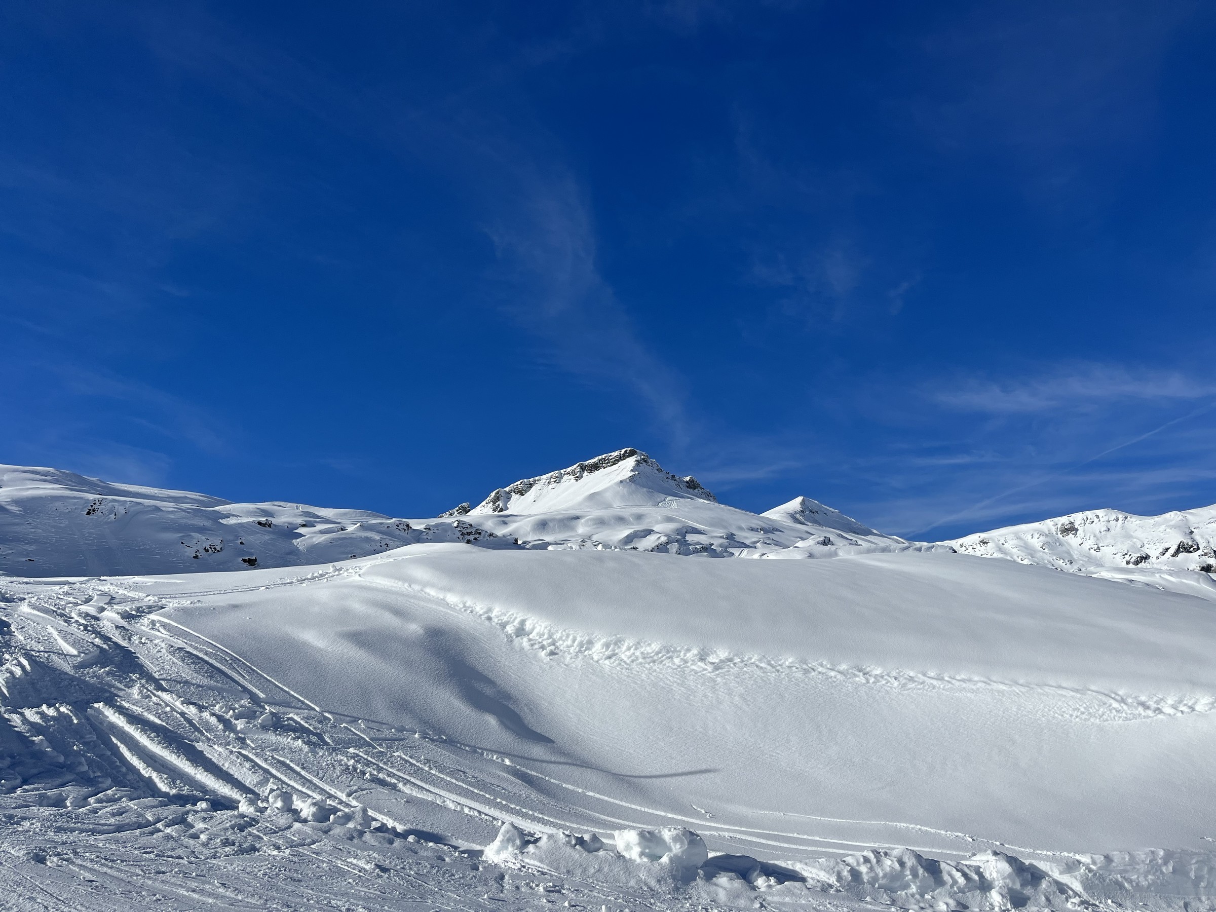 14D23798-E378-4EF1-8218-41C8C8DD6A51.jpeg
