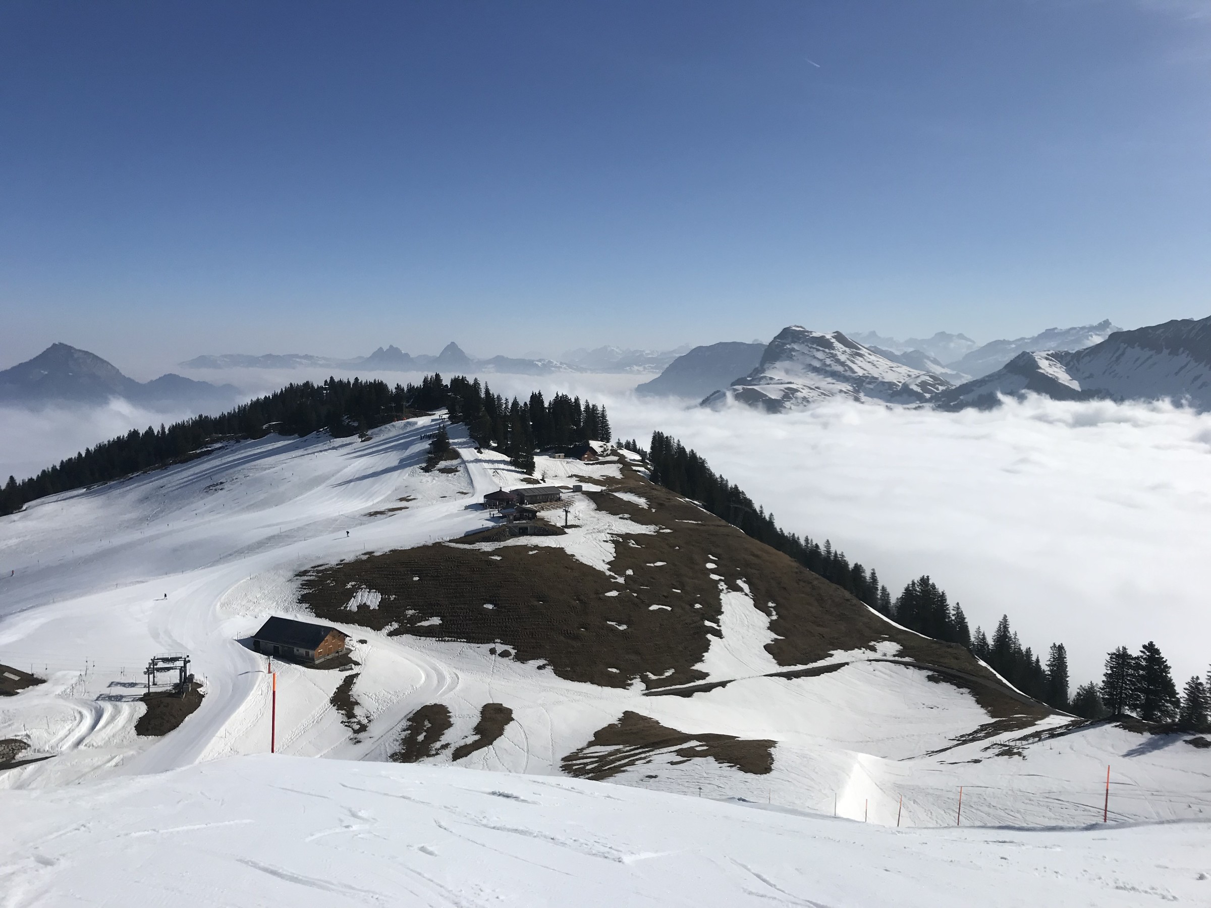 152305D3-AD6F-42DB-B4F2-168D4BC6477B.jpeg