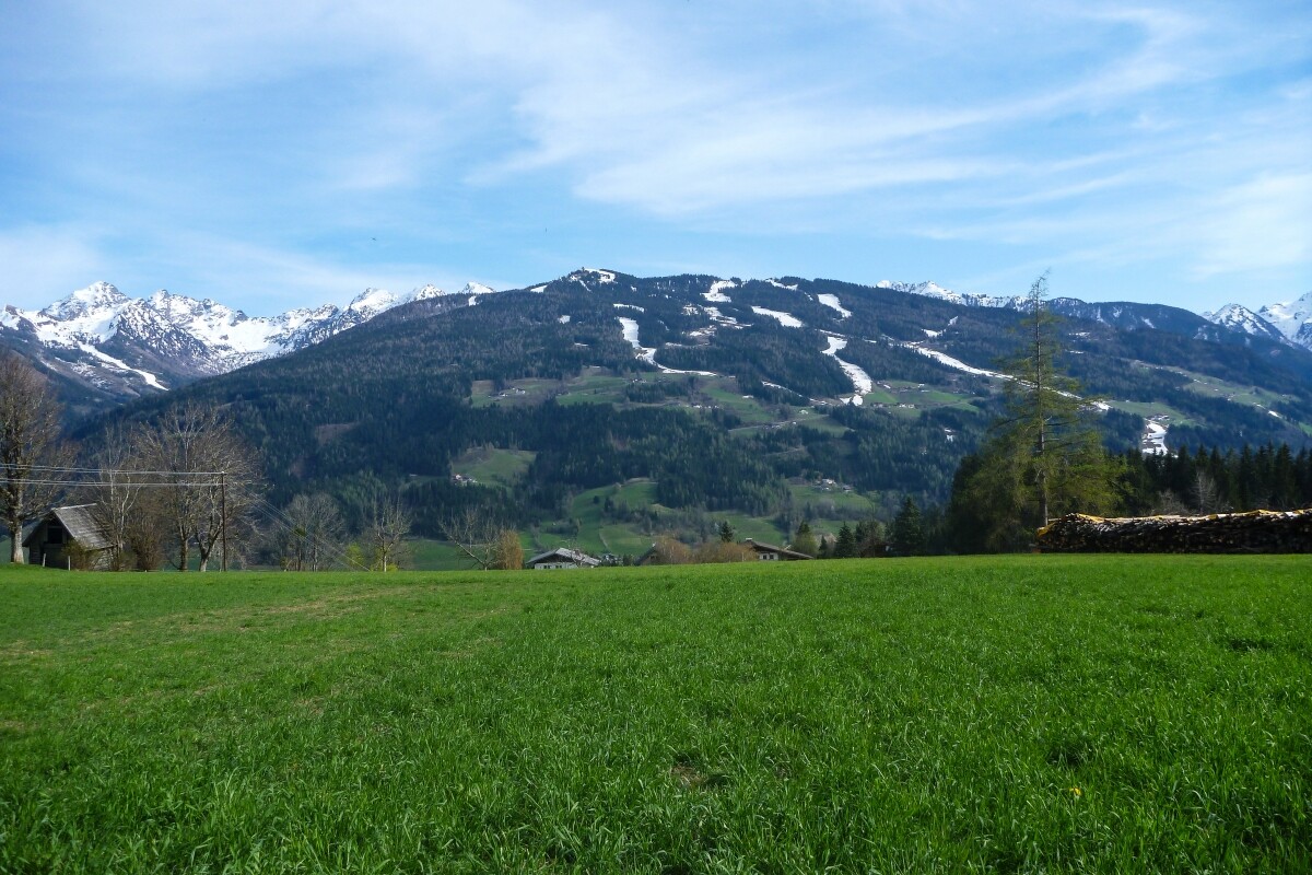 153.JPG