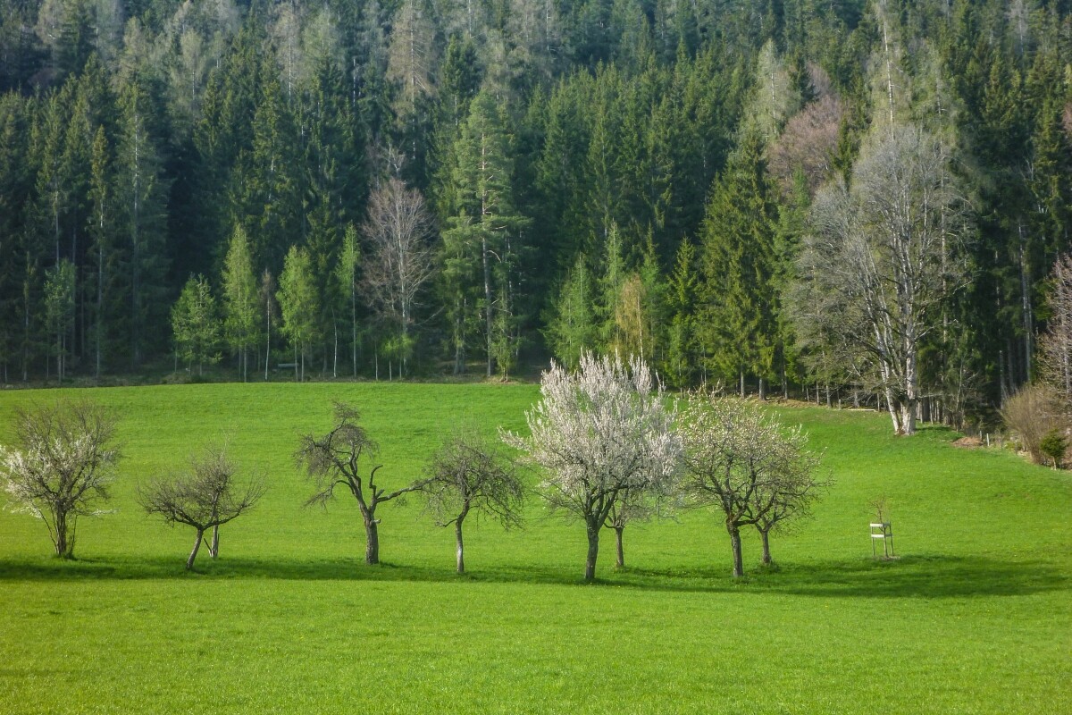 155.JPG