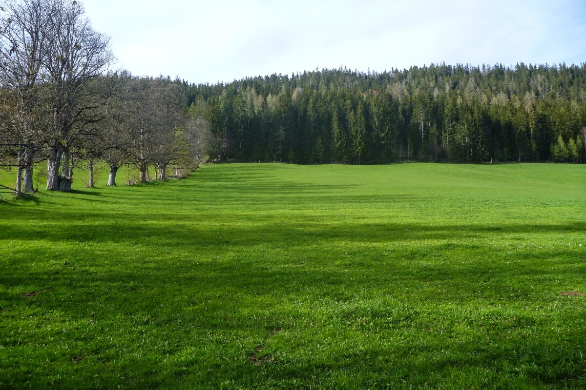 156.JPG