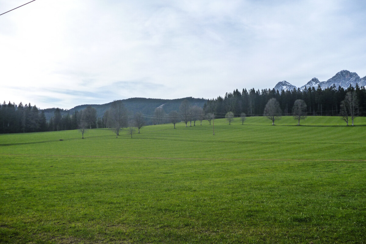158.JPG