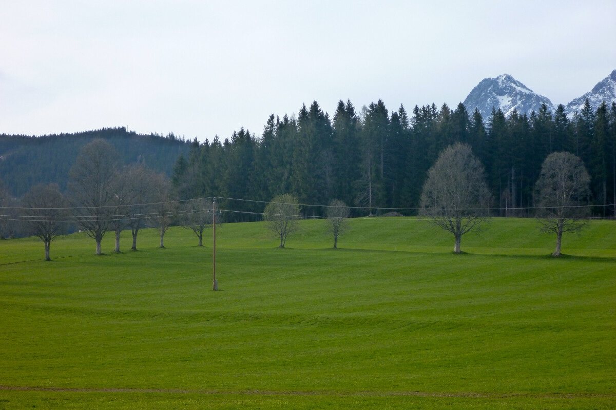 159.JPG