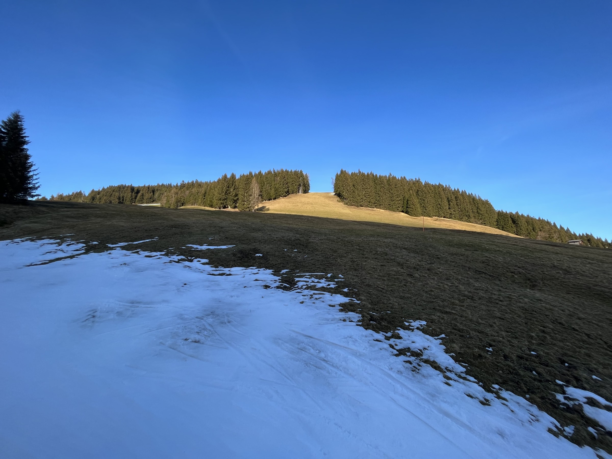 15D2FF29-DC30-4391-8E0B-BC86195AC3B4.jpeg