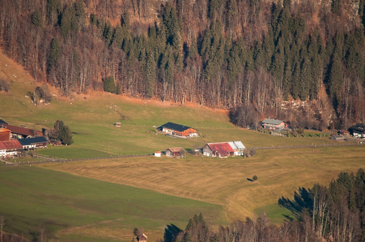 16.JPG