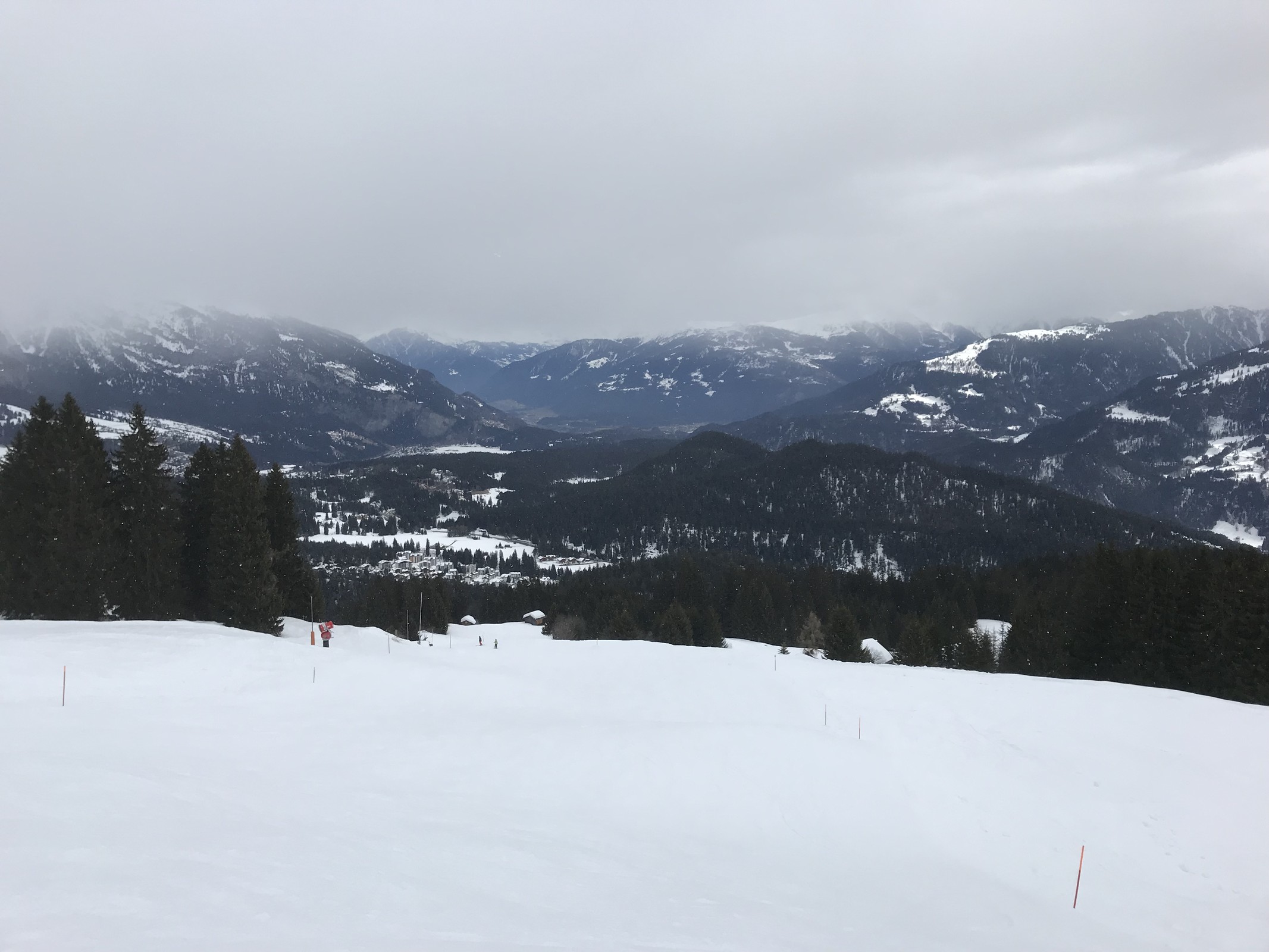 1626B07F-4ECE-4D86-8033-F3CE68E2F912.jpeg