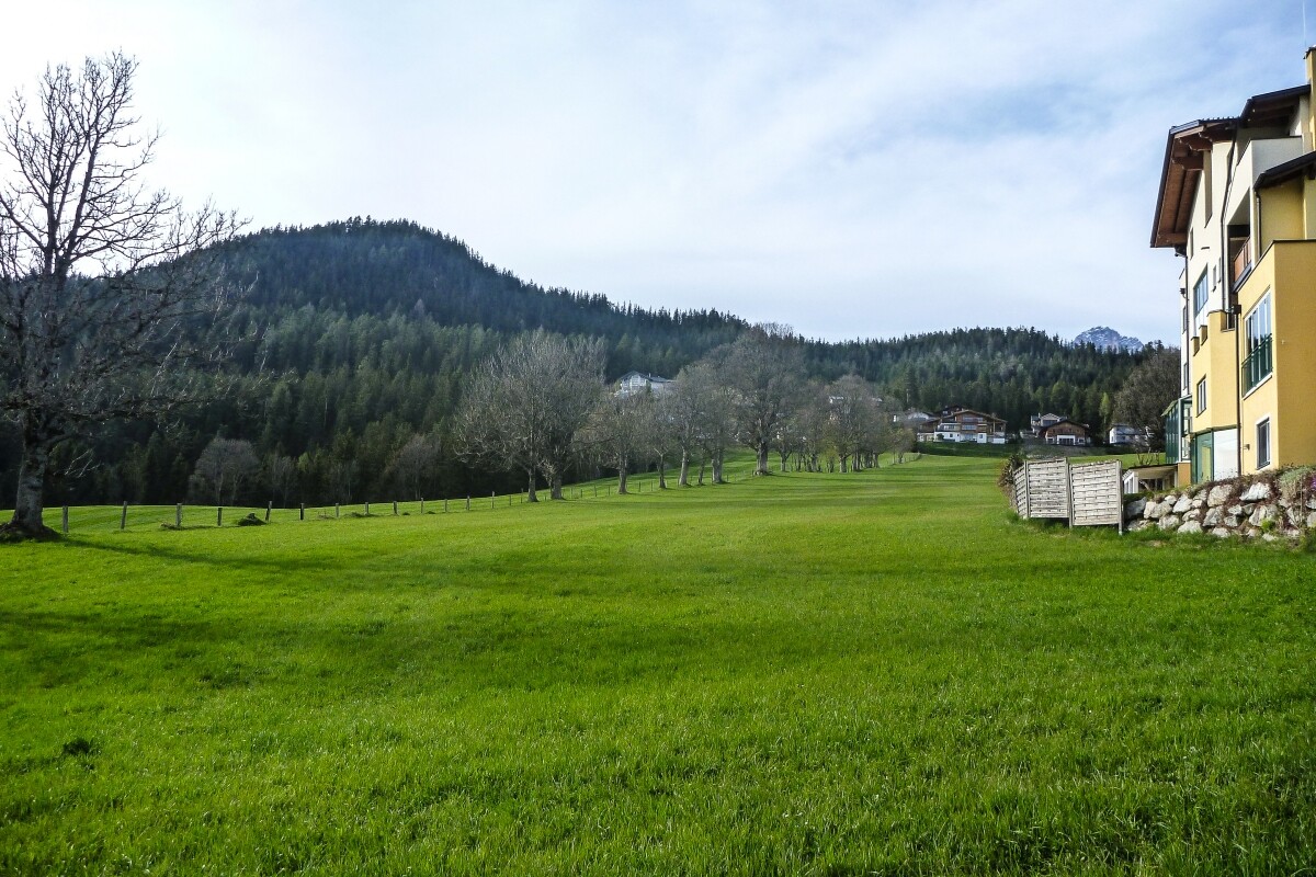 164.JPG