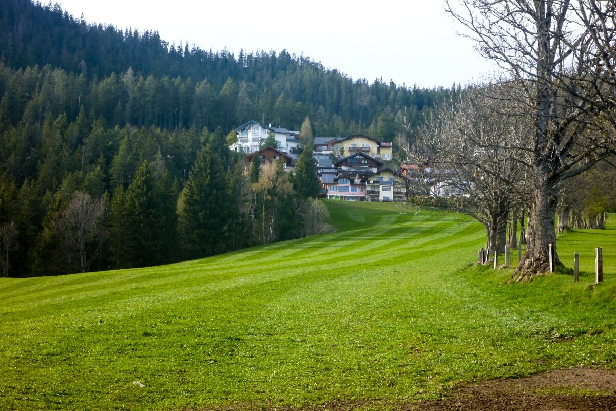 166.JPG