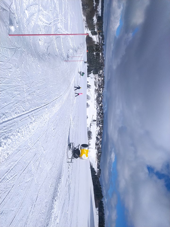 1677488435950.jpg