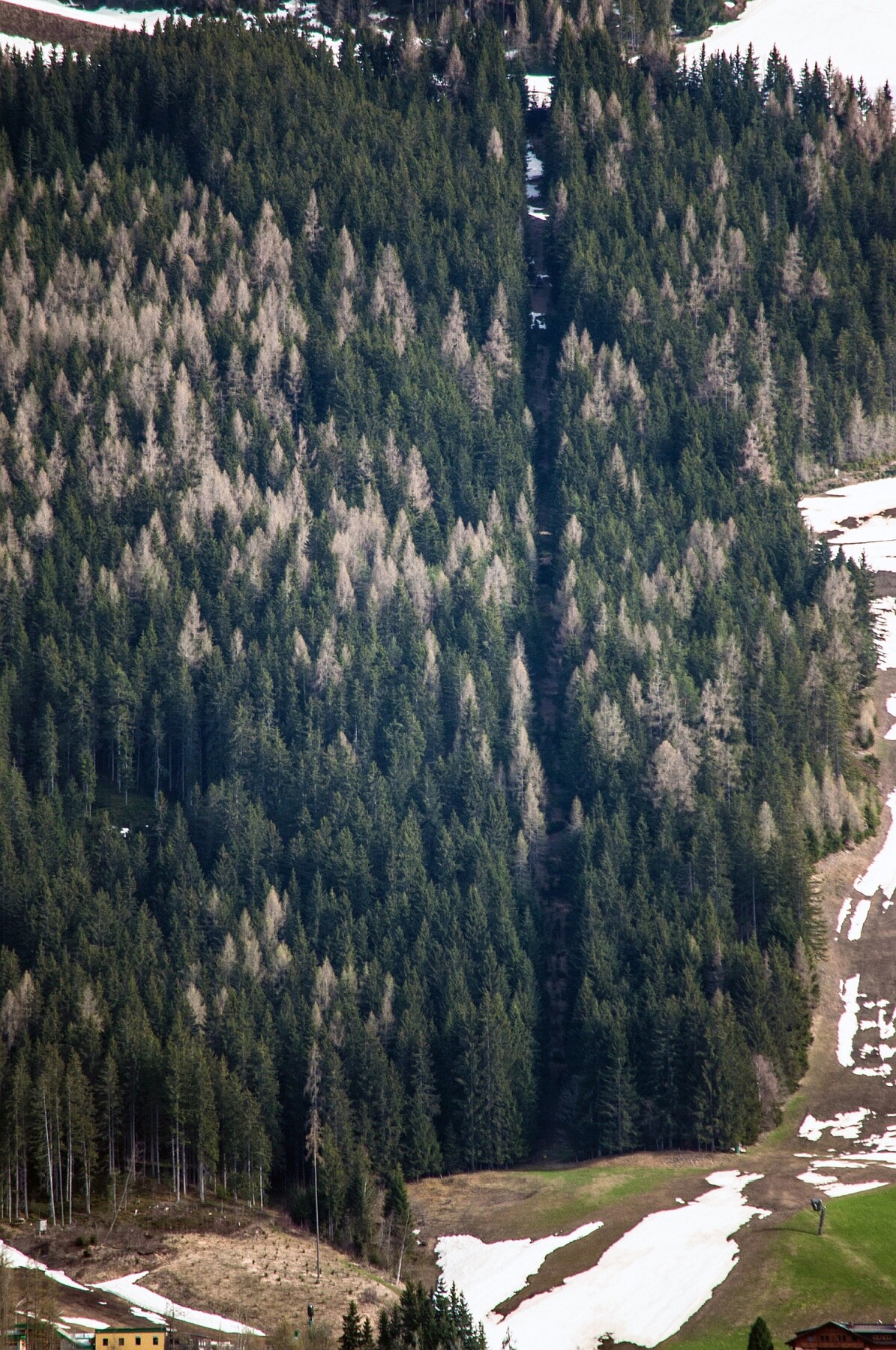 173.jpg