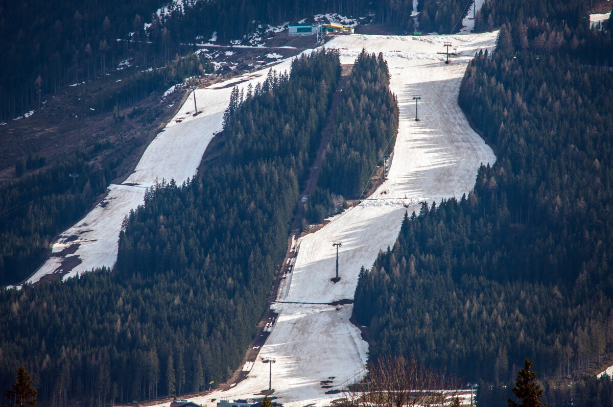 175.JPG