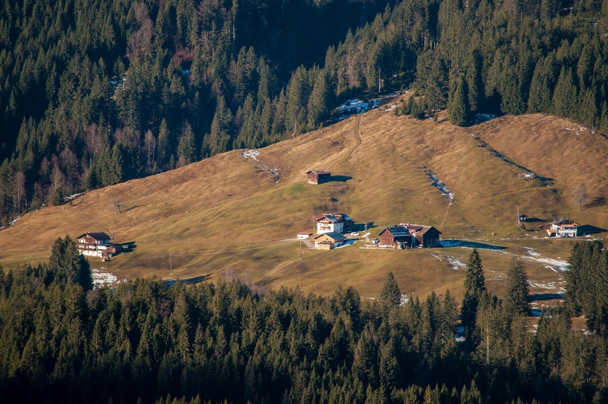 18.JPG