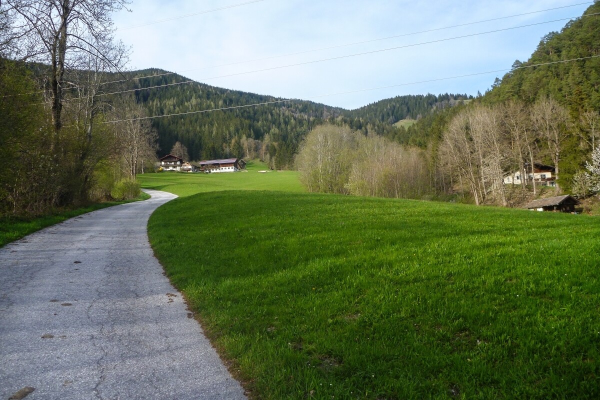 185.JPG