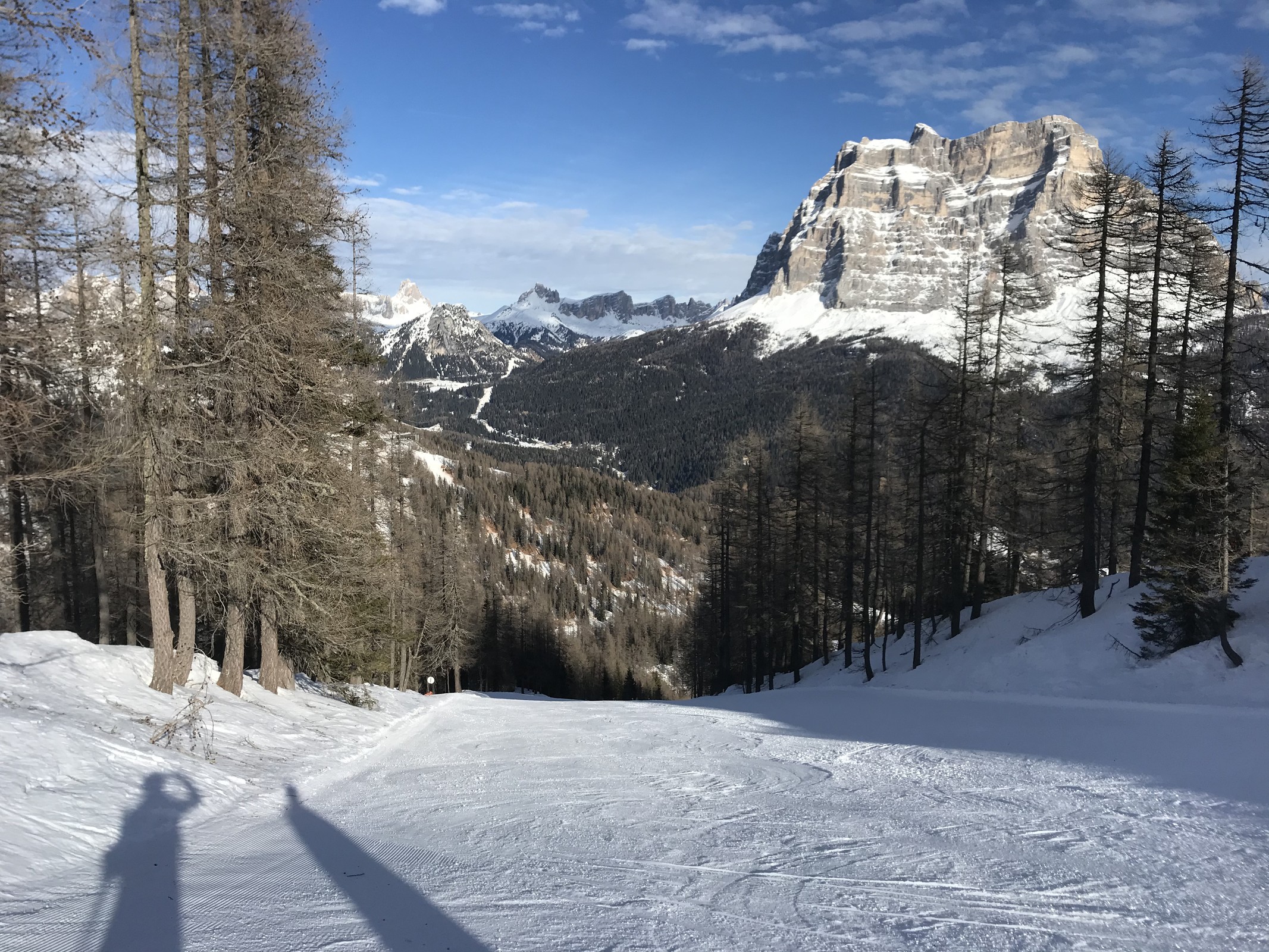 197703FE-A4A9-46D4-9D5B-DBA5444CC6F2.jpeg