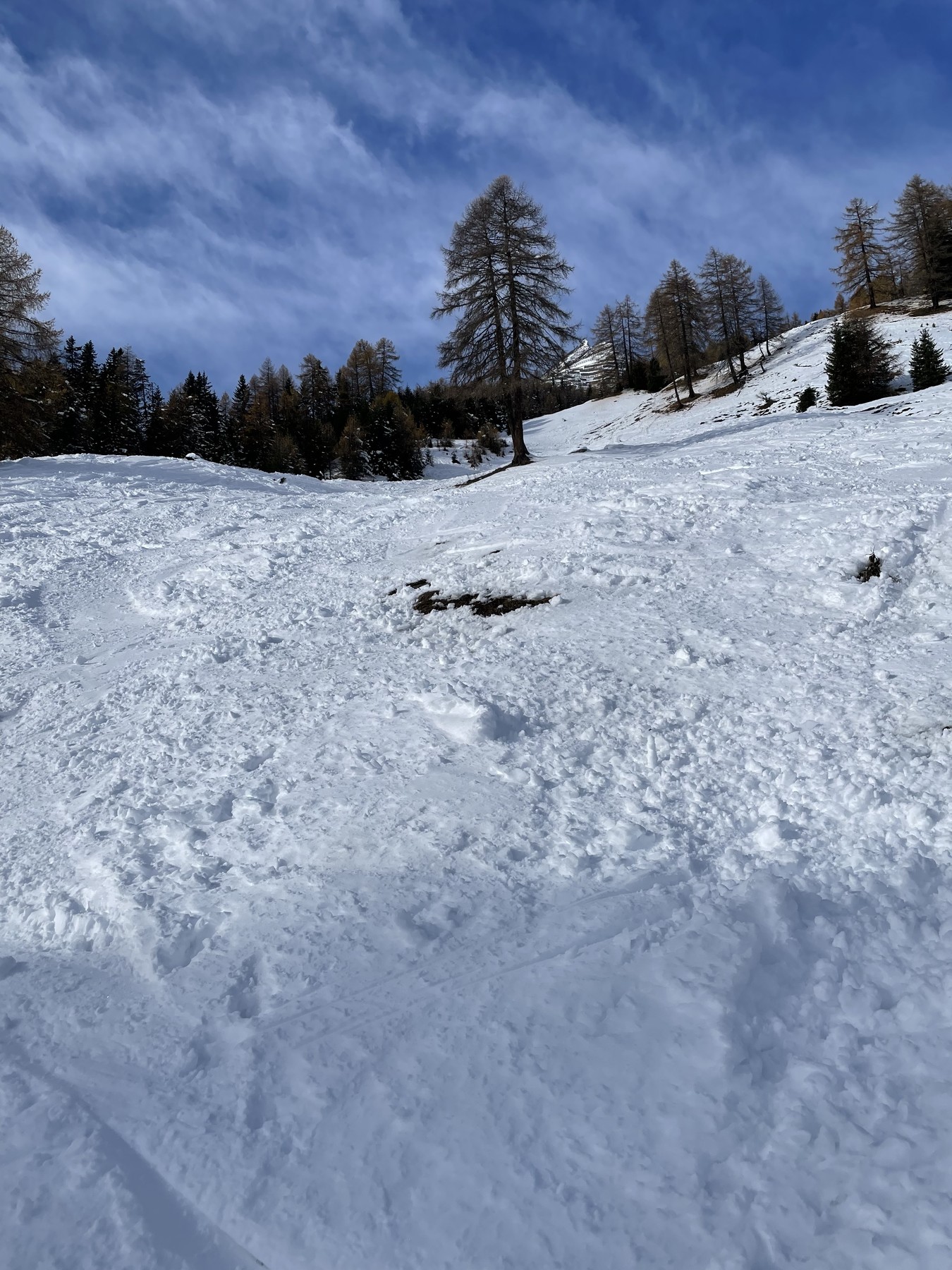 1F137083-A74F-4D3C-8B9D-533B52E0784D.jpeg