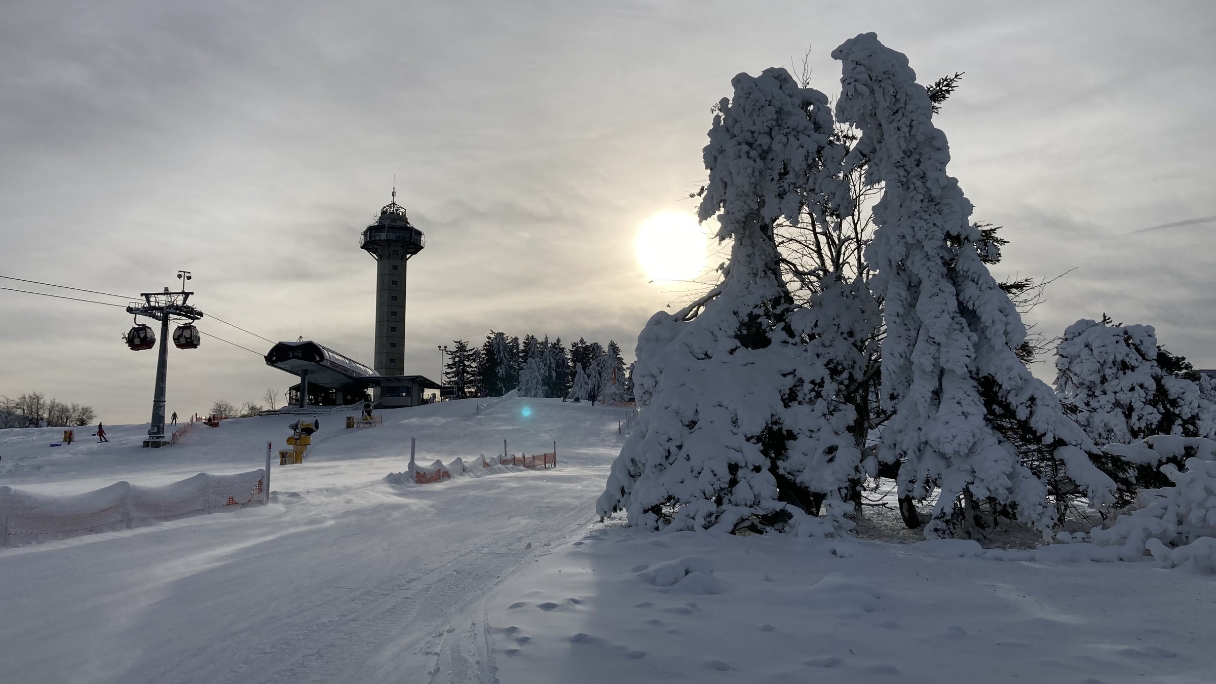 1FEB307E-34A9-474E-BD16-A3D750B6E719.jpeg