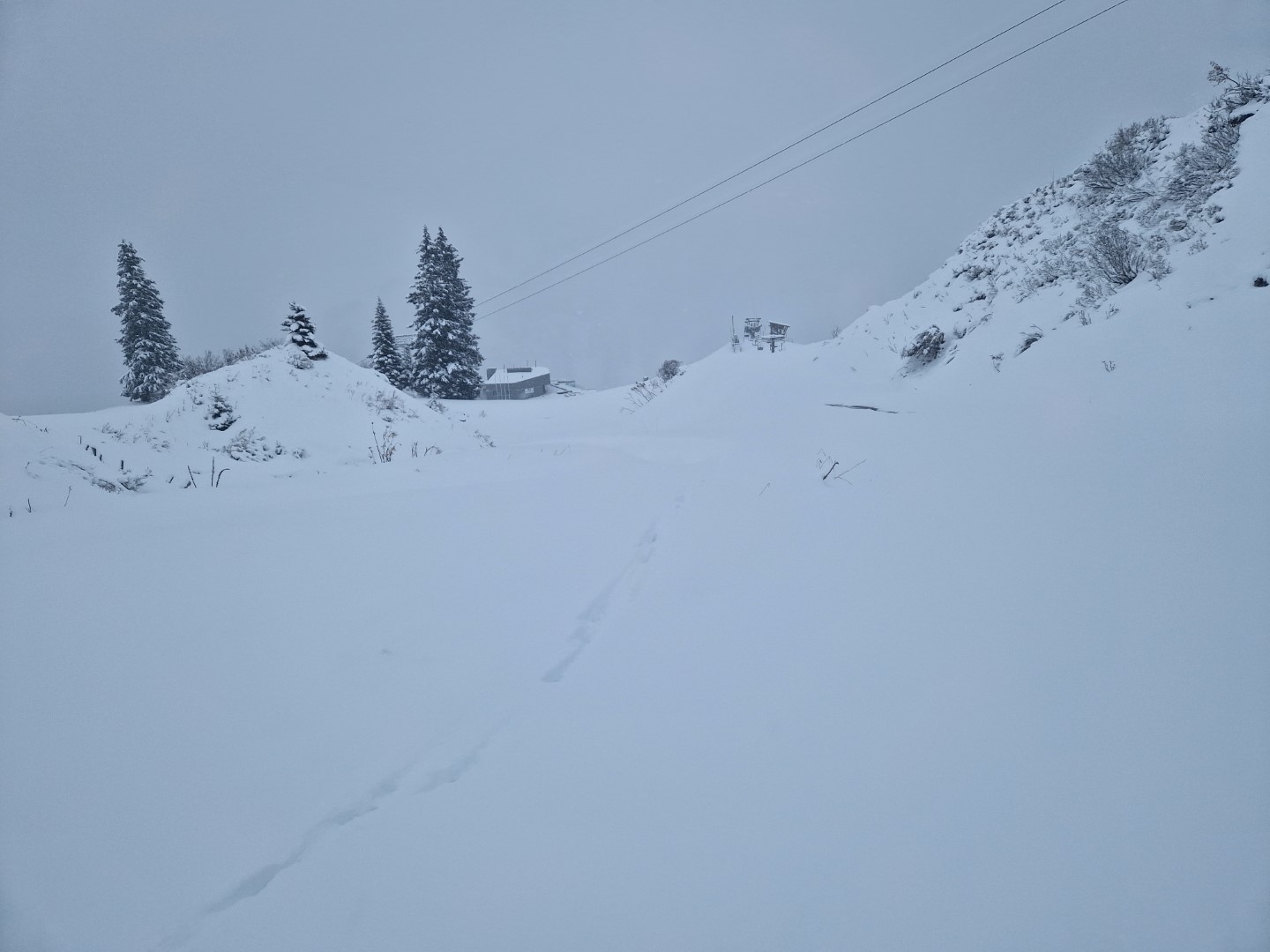 1Run_2023 (8).jpg