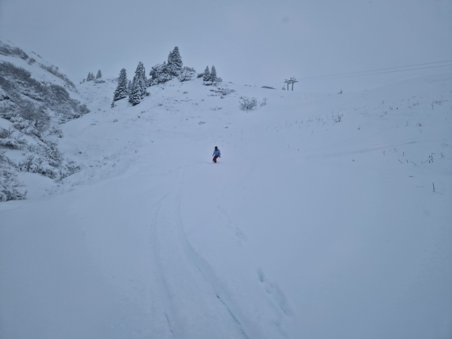 1Run_2023 (9).jpg