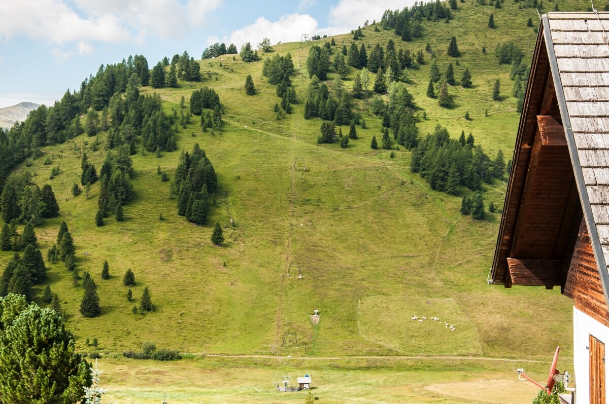 20.JPG