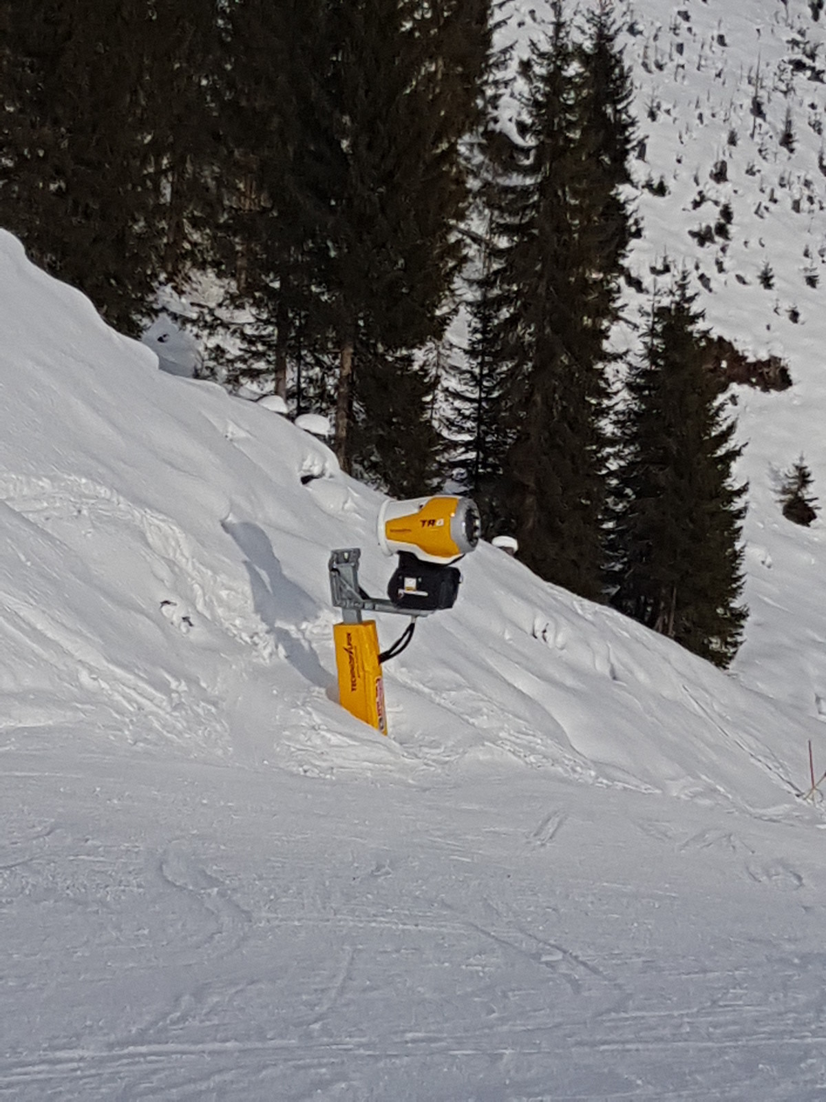 20171227_094113.jpg