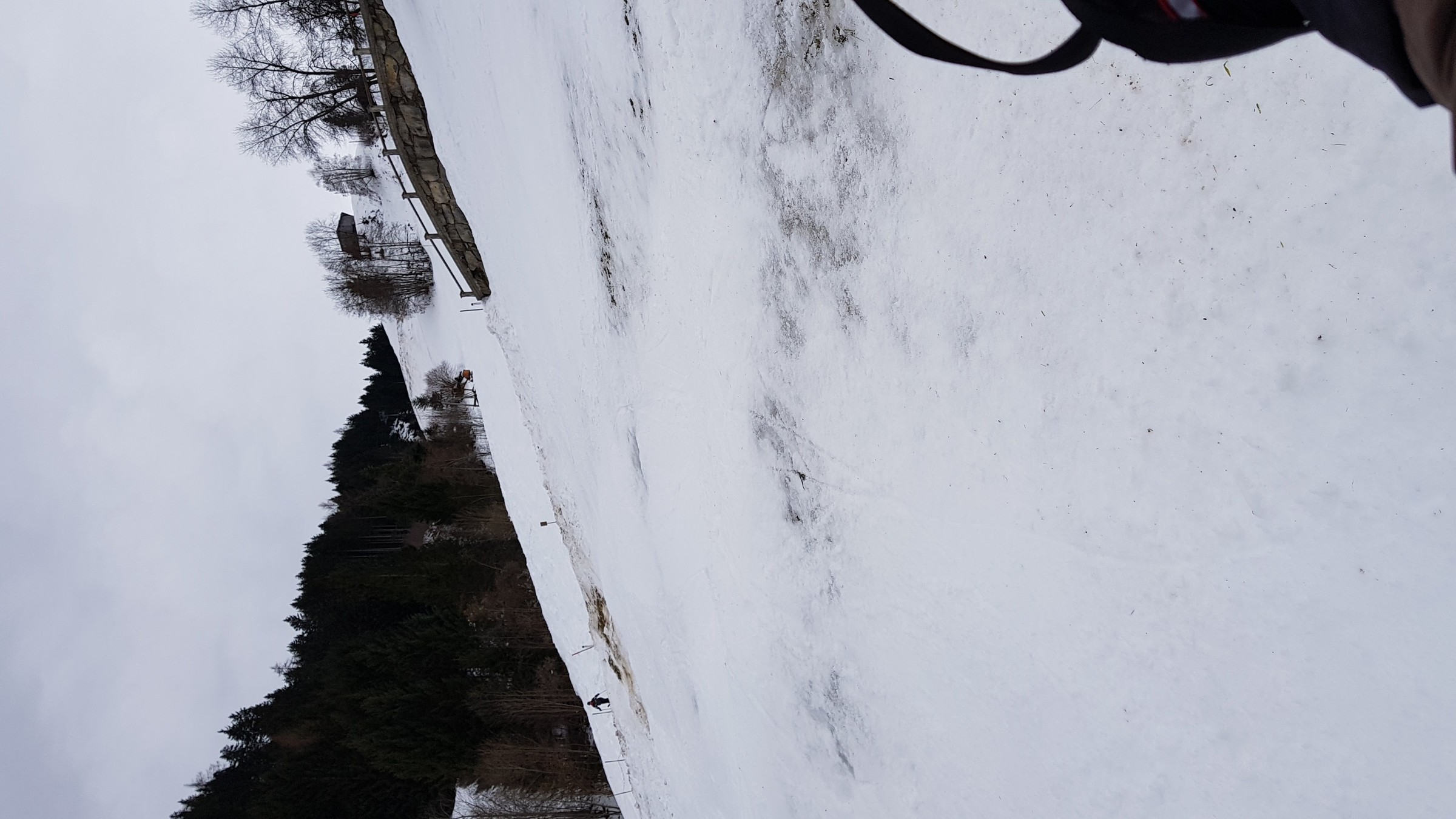 20180128_115641.jpg