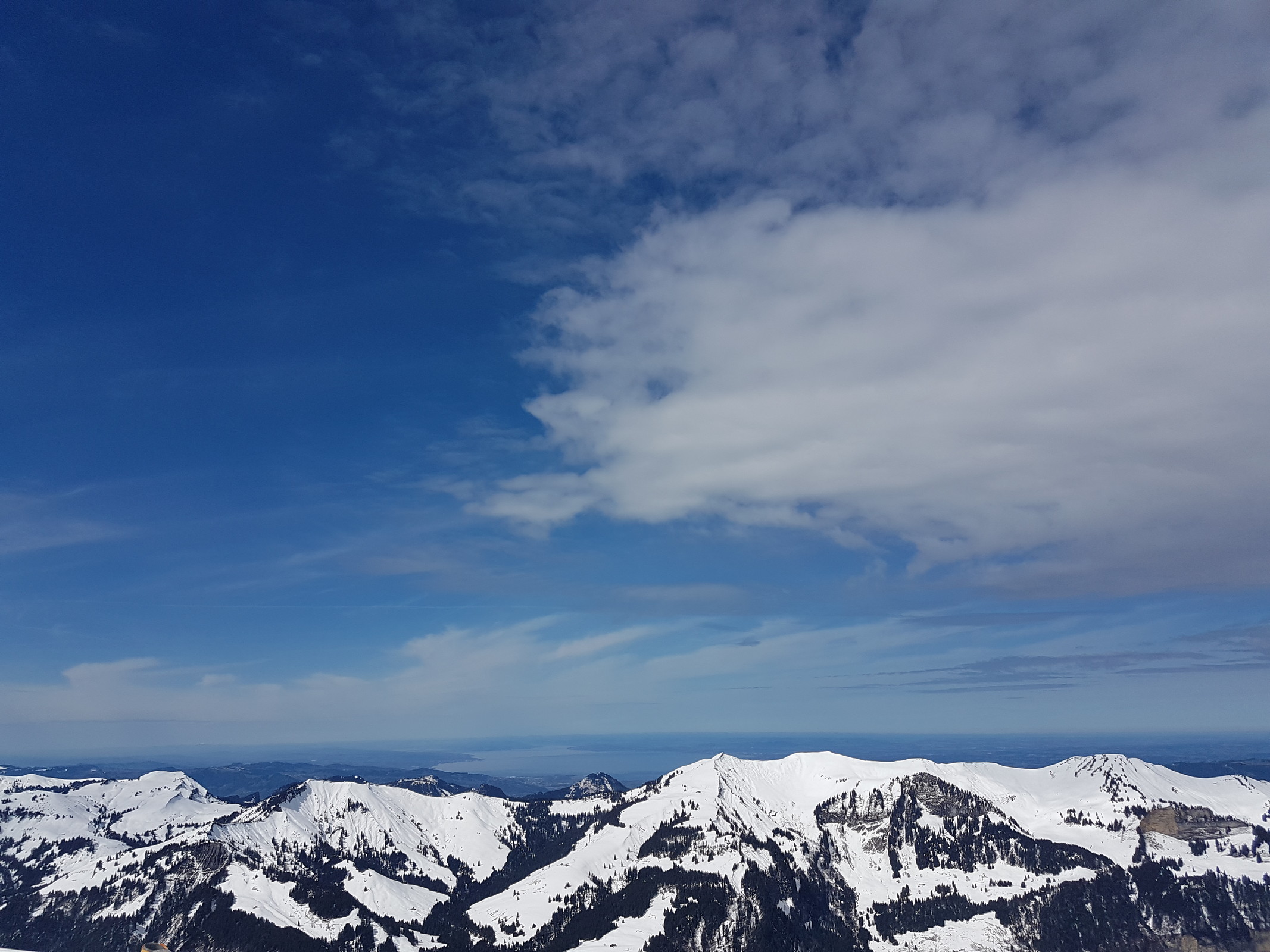 20180402_140349.jpg