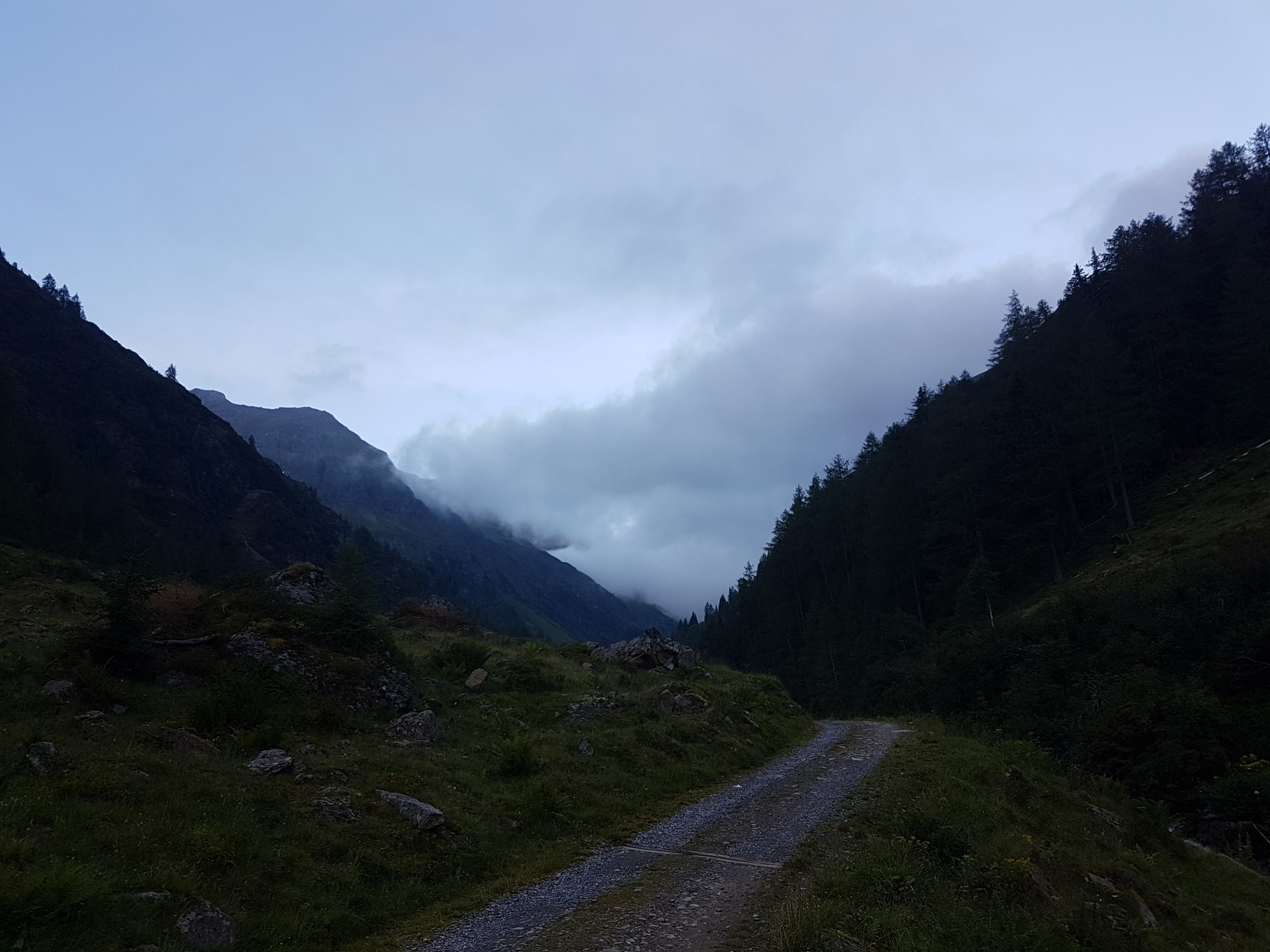 20180729_061920.jpg