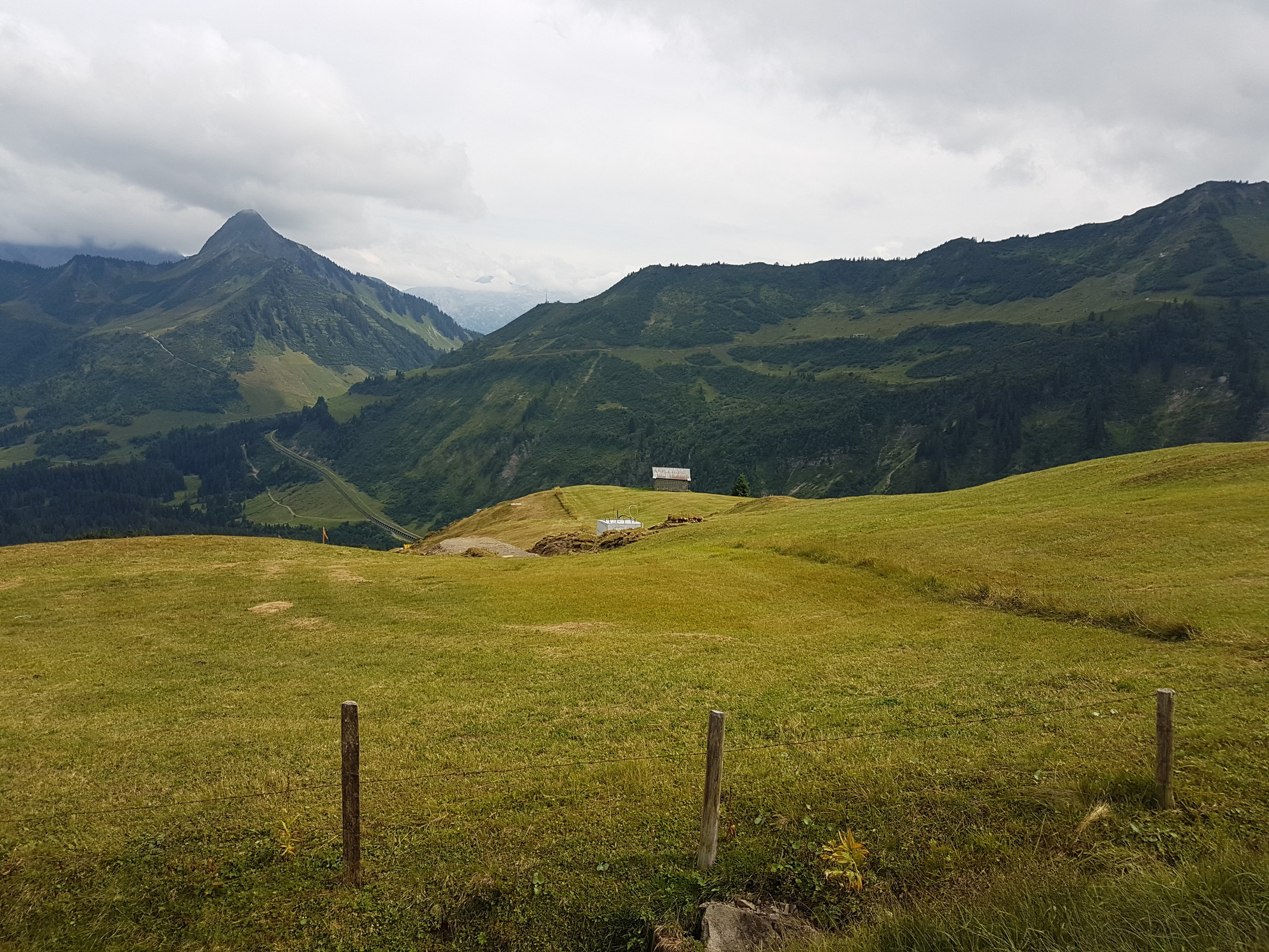 20180811_153510.jpg