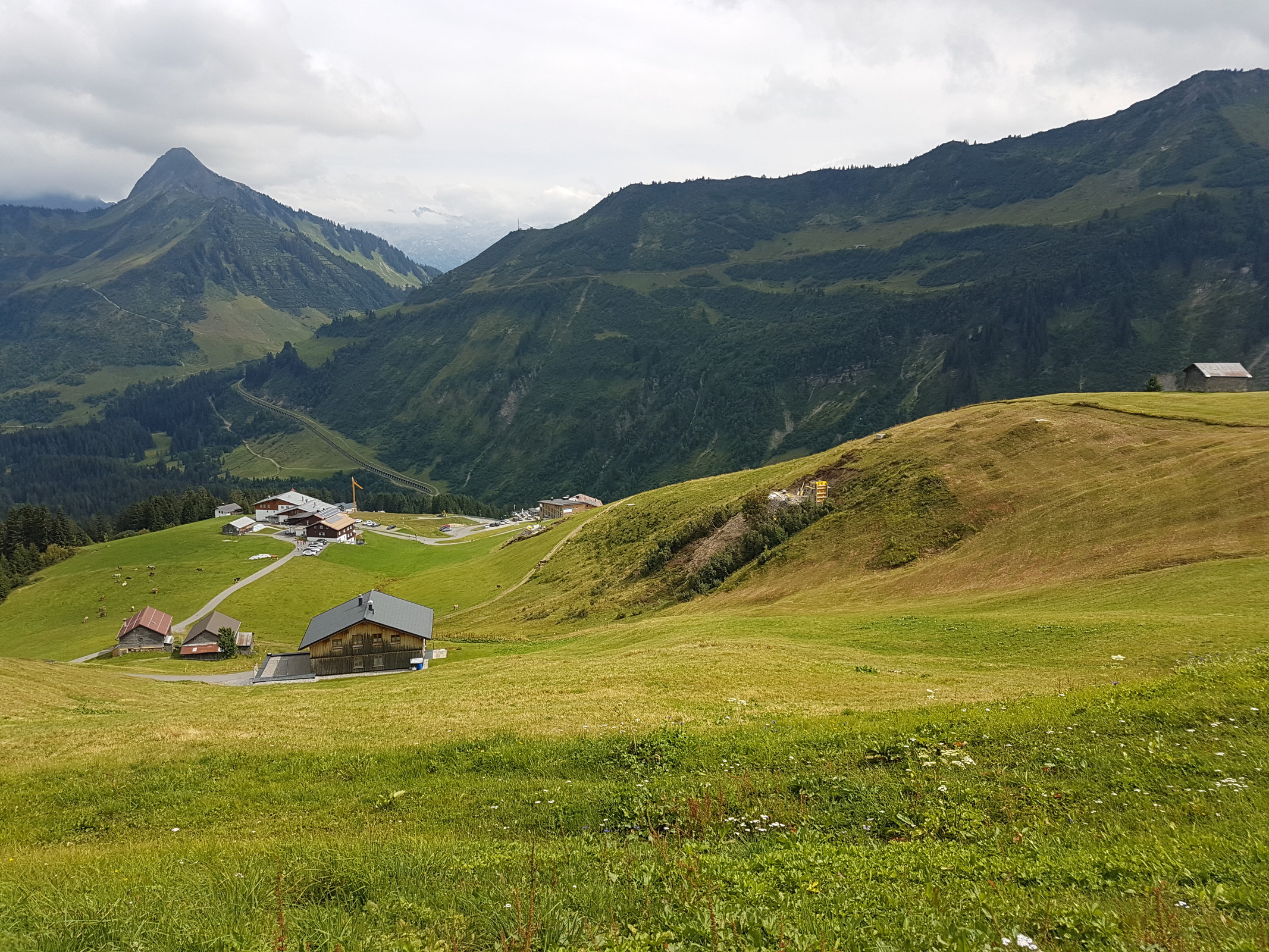 20180811_153702.jpg