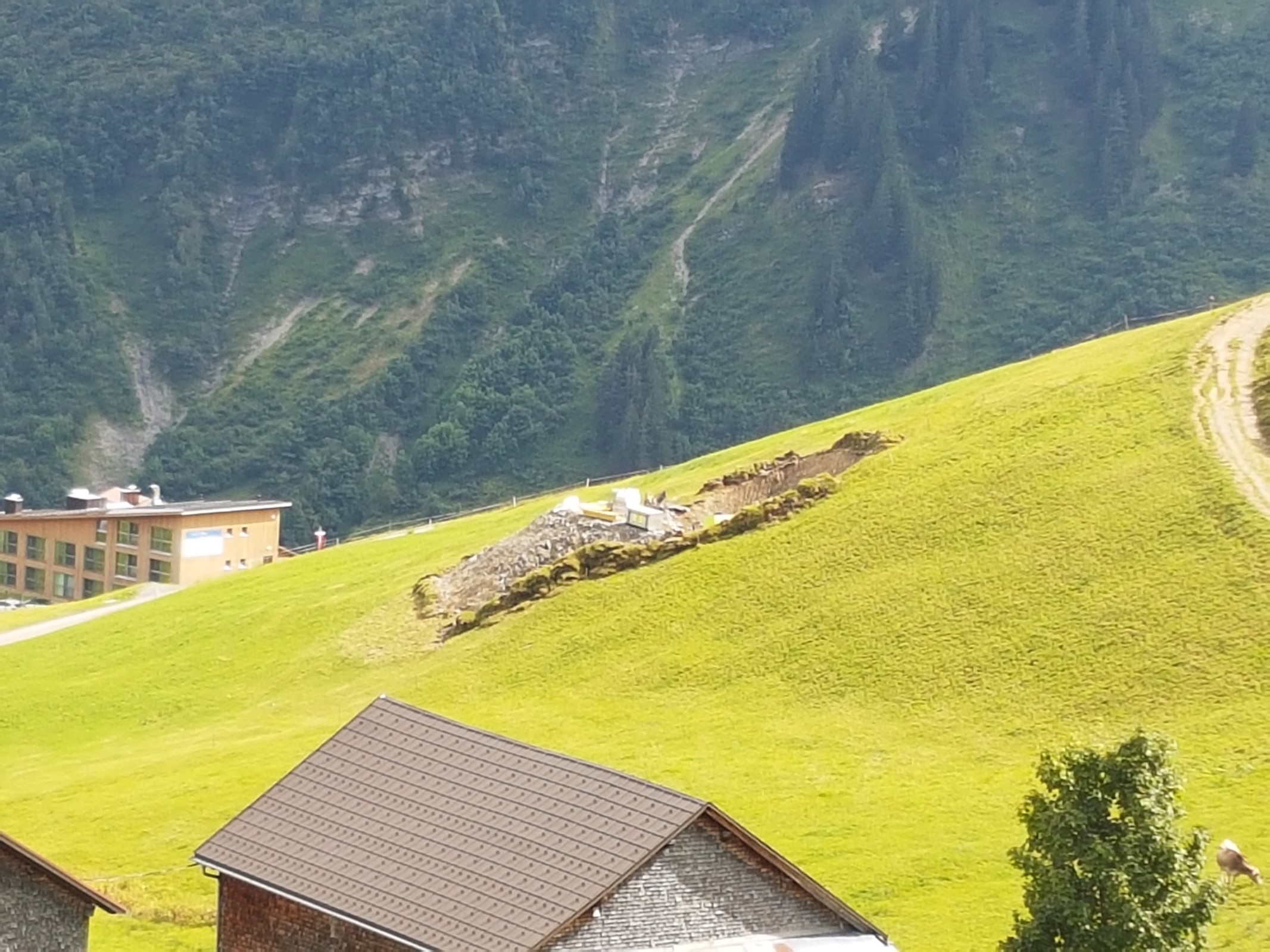 20180811_154901.jpg
