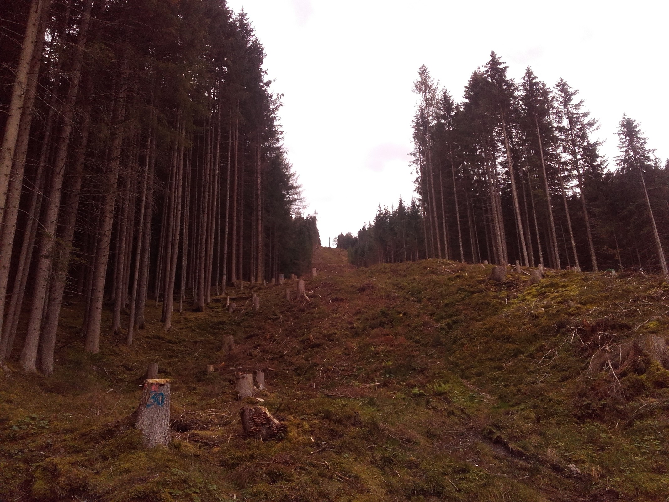 20180923_164156.jpg